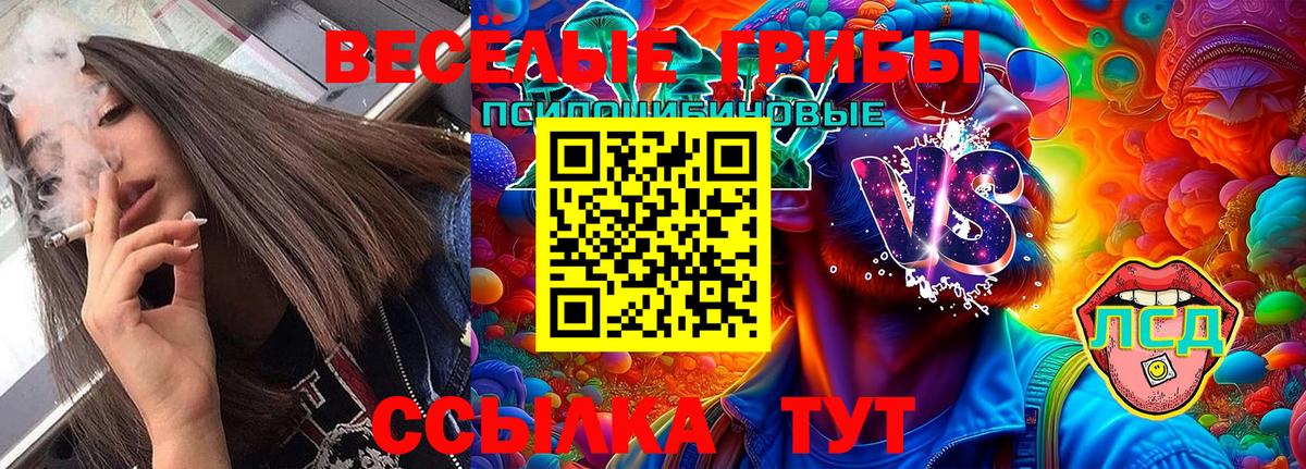 Псилоцибиновые грибы Cubensis Южноуральск