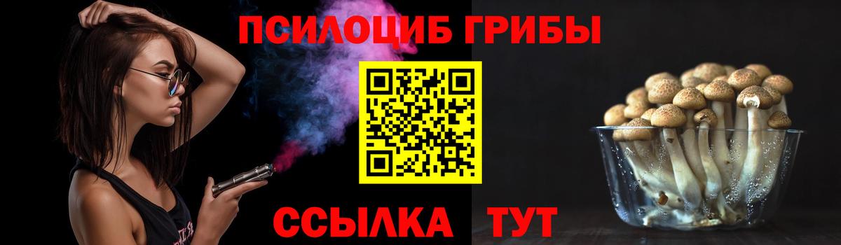 Псилоцибиновые грибы GOLDEN TEACHER Южноуральск